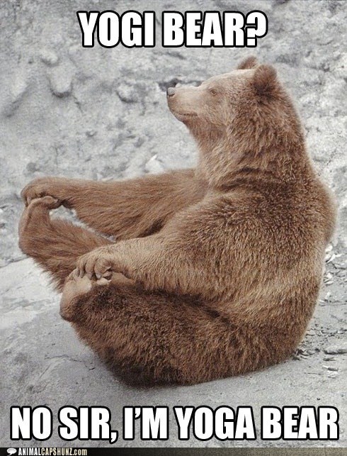 Animal Capshunz: Your Picnic Basket is Safe. I'm Trying to Lose Weight