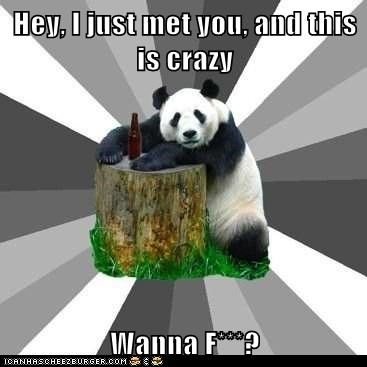 Animal Memes: Pickup Line Panda - There Is No "Maybe"