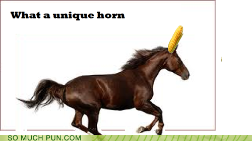 What a Unicorny Joke