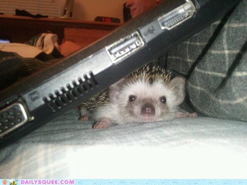 Daily Squee: Reader Squee - Keeping Warm 
