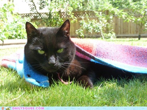 Reader Squee: Cloe