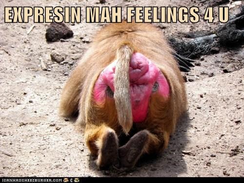 EXPRESIN MAH FEELINGS 4 U