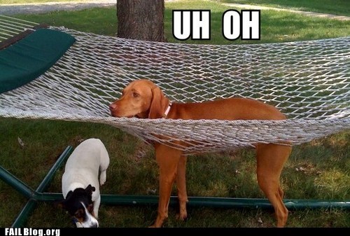 FAIL Nation: Hammock FAIL