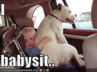 I   babysit..