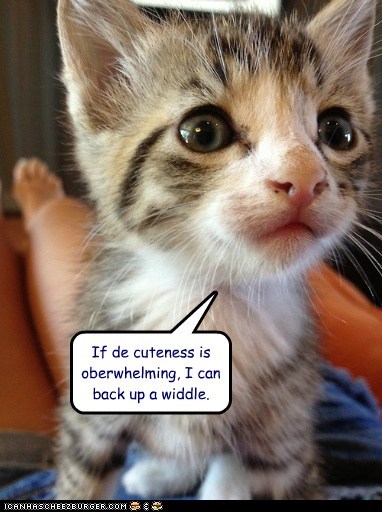 If de cuteness is oberwhelming