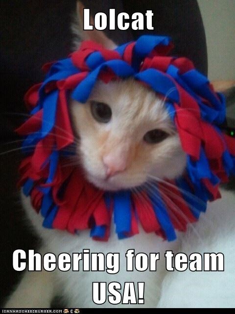 Lolcat  Cheering for team USA!