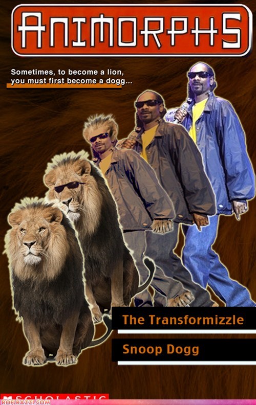 The Transformizzle