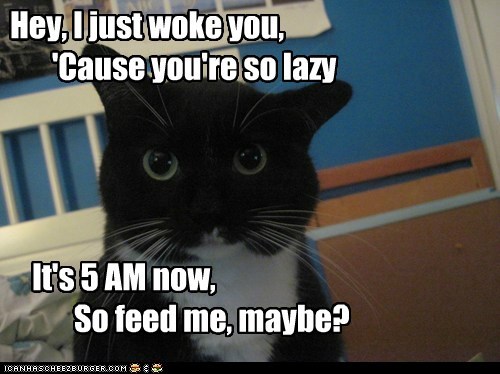 Actually, no. Not maybe. Feed me now.
