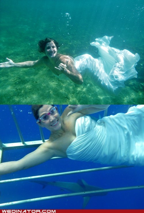 The Bachelors of the Sea