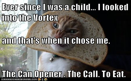 Ever since I was a child... I looked  into the Vortex  and that's when it chose me.  The Can Opener . The Call. To Eat.