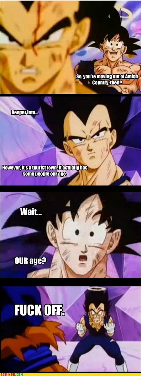 Goku and Vegeta