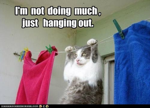 I'm  not  doing  much