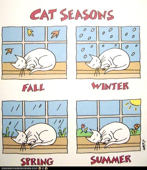 The Seasons May Change, But My Love of Sleep Never Wanes