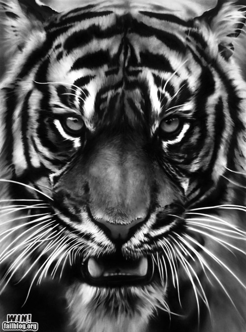 Charcoal Art WIN