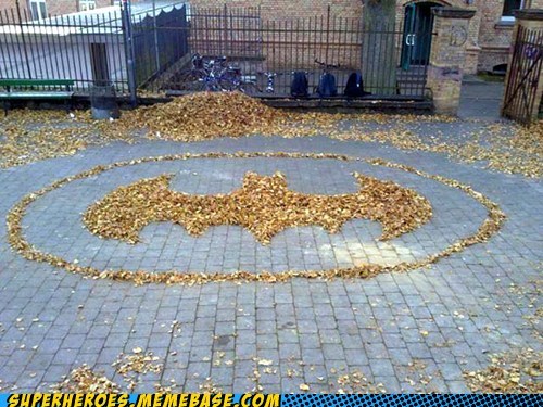 Someone Used the Bat Rake
