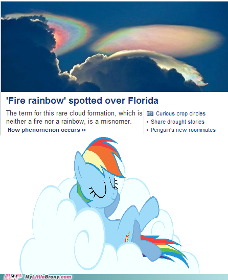 Thanks for Visiting Rainbow Dash