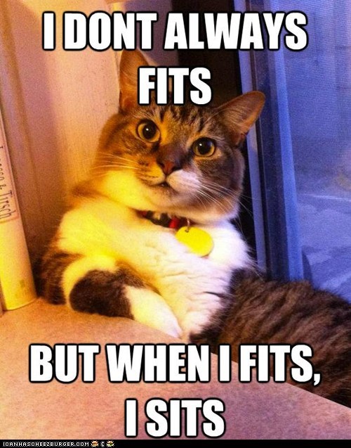 I Use the Loose Definition of "Fits"