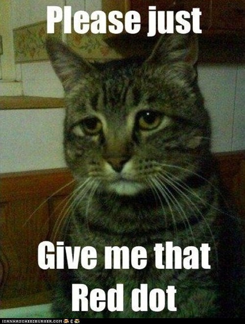 YOU CAN HAVE IT ONCE YOU'VE EARNED IT, CAT!
