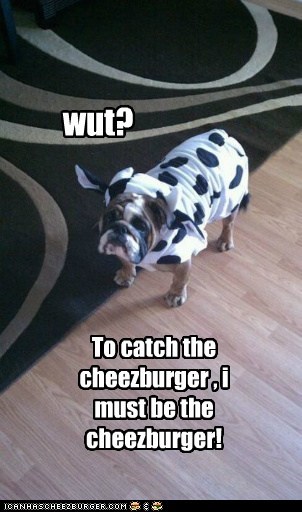 Be the cheezburger