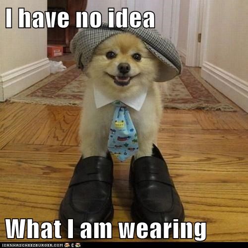 I have no idea  What I am wearing