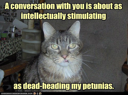 smart kitteh is smart