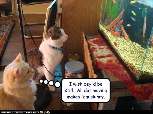 I wish dey'd be still.  All dat moving makes 'em skinny.