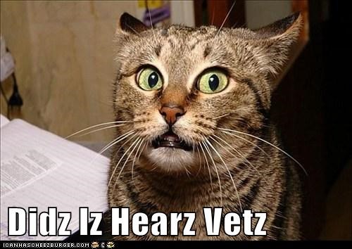 Didz Iz Hearz Vetz