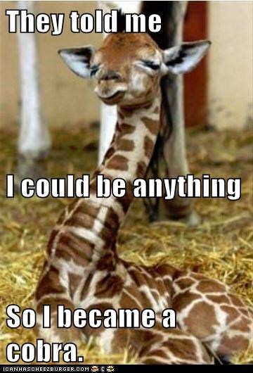 Animal Capshunz: Dream Big, Little Girafflet