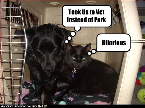 Hilarious...