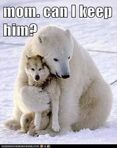 But He Followed Me Home!
