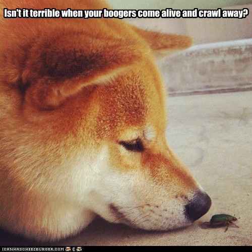 Isn't it terrible when your boogers come alive and crawl away?