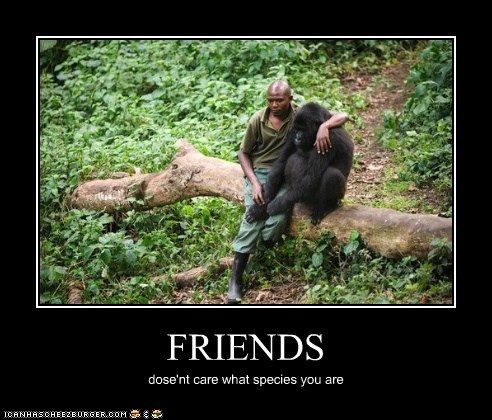 FRIENDS