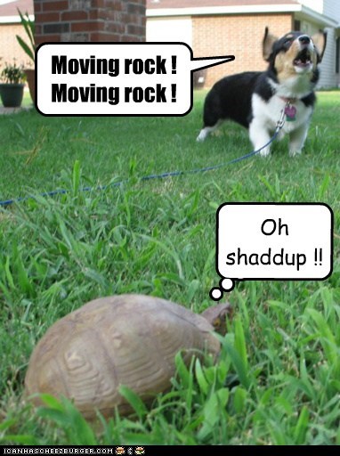 Moving rock !