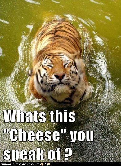 Animal Capshunz: Do I Get to Eat It?