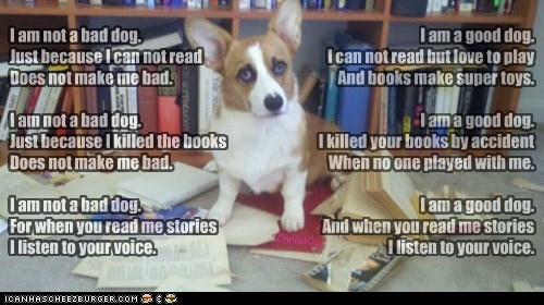 I am not a bad dog.