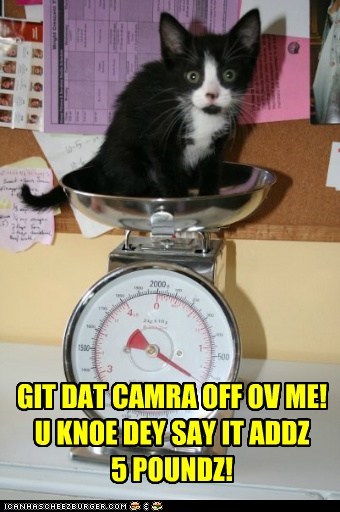 I'M WATCHIN MAH WEIGHT!