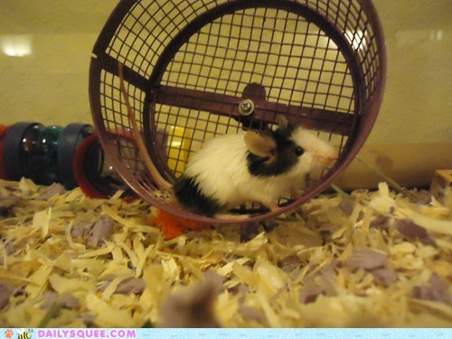 Reader Squee: Big Wheel 