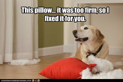 This pillow... it was too firm, so I fixed it for you.