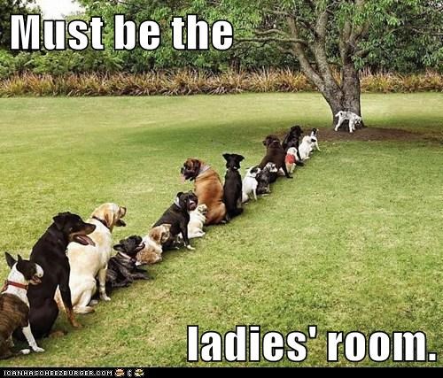 Must be the  ladies' room.