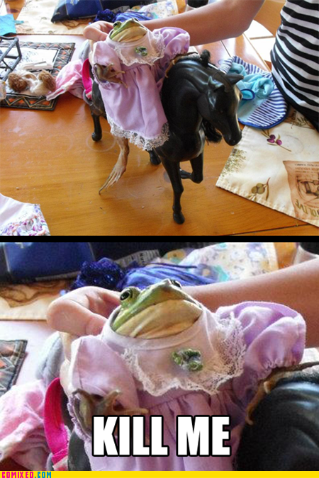 The Frog Princess