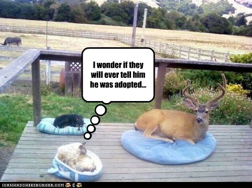 I wonder if they will ever tell him 