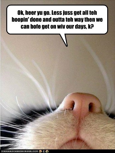 Ok, heer yu go. Less juss get all teh boopin' done and outta teh way then we can bofe get on wiv our days, k?