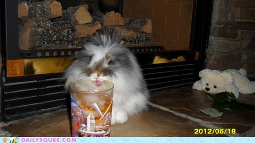Reader Squee: Mmmm... Sweet Tea