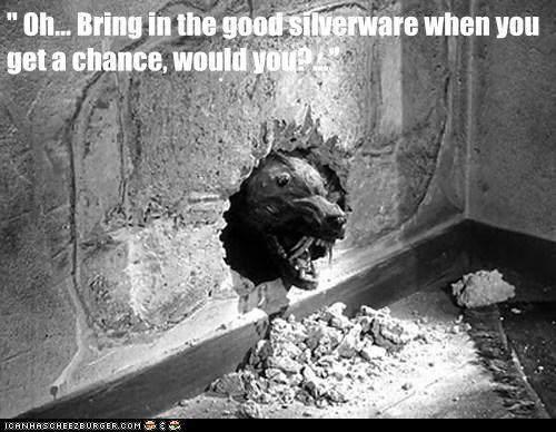 While You're Chewing Through the Wall