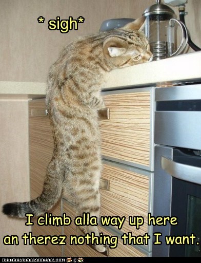 I climb alla way up here 