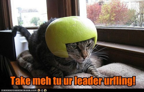 Take me tu ur leader