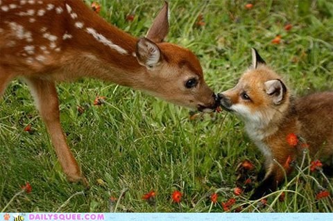 Interspecies Love: Making New Friends.
