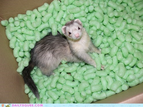 Packing Peanuts 
