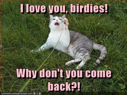 I love you, birdies!  
