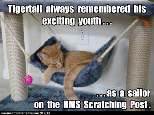 Tigertail  always  remembered  his  exciting  youth . . .